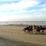 Apartment In Near Marina Blankenberge