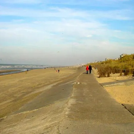 In Near Marina * Blankenberge