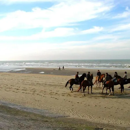 In Near Marina Blankenberge