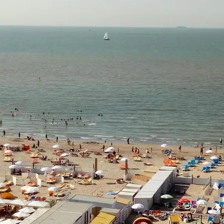 In Near Marina 公寓 *