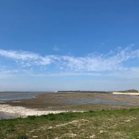 In Near Marina * 布兰肯贝赫