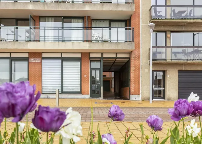 In Near Marina * Blankenberge