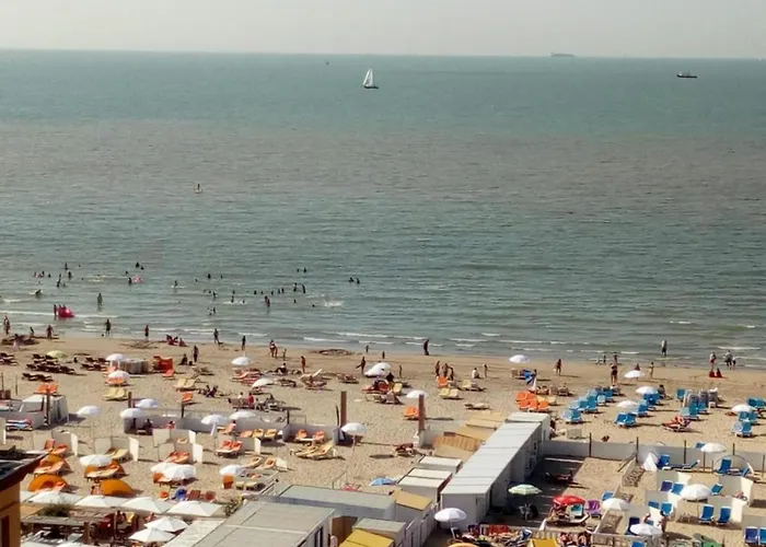 In Near Marina 公寓 *