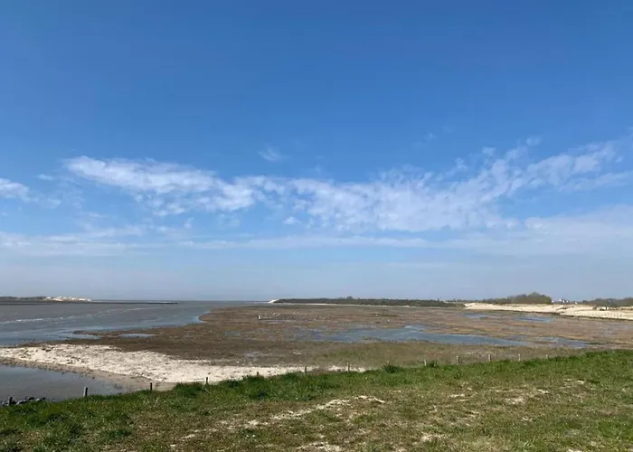 In Near Marina * 布兰肯贝赫